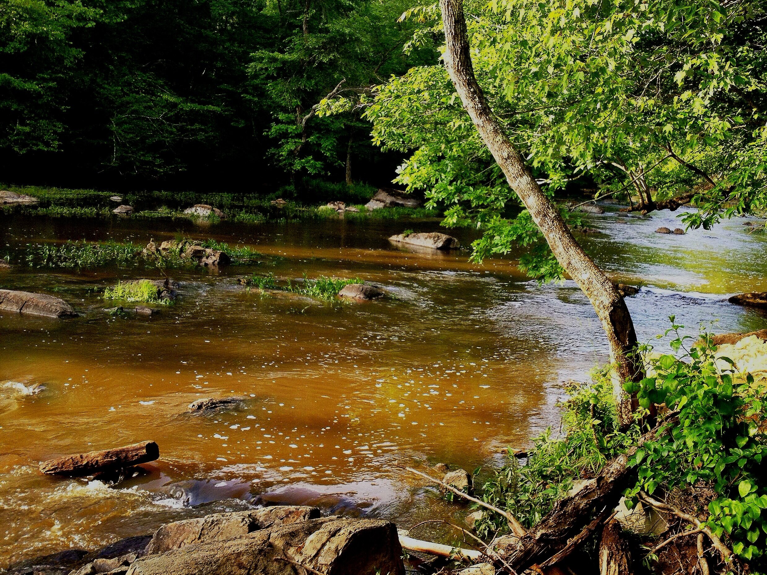 photo of a stream