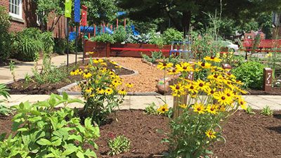 Cassidy Elementary Science Garden