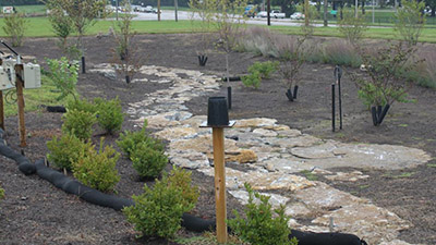 Coca Cola Rain Garden