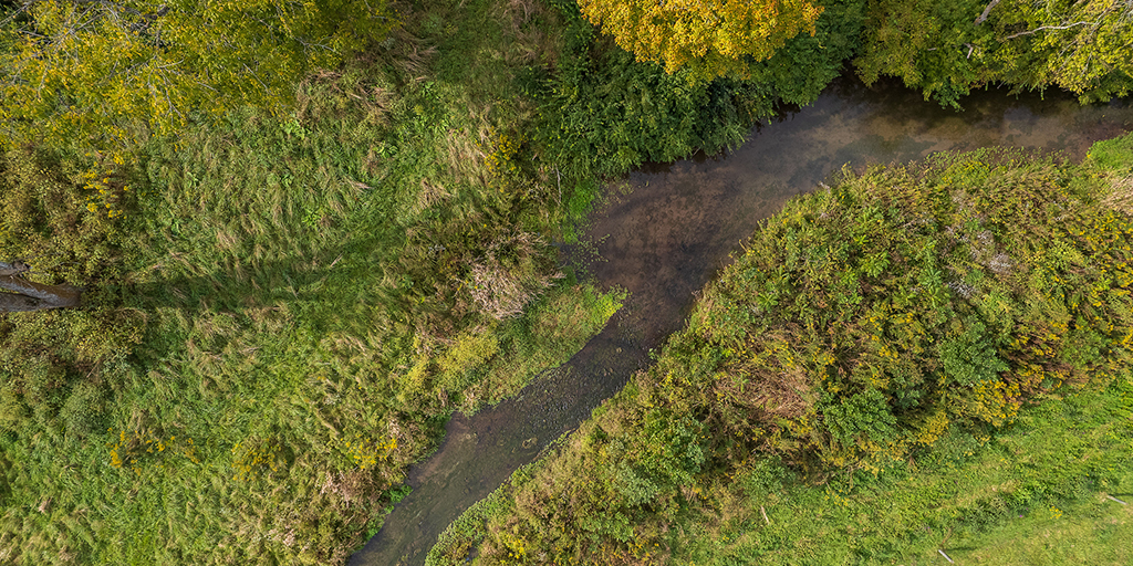 Stream and Watershed Sciences