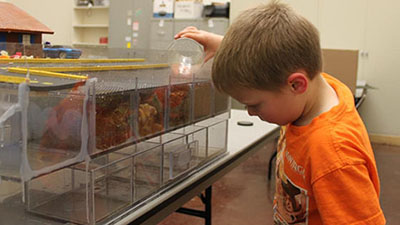 A boy learns about stormwater