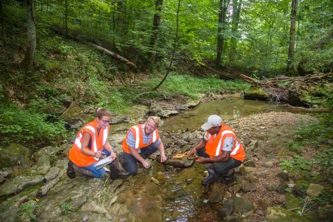 stream restoration project