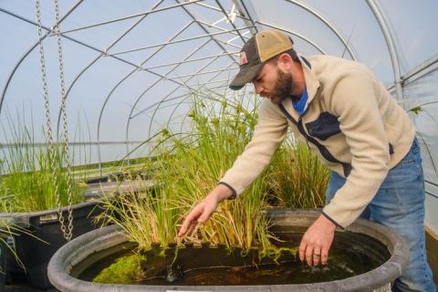 Dr. Messer Lab at a greenhouse