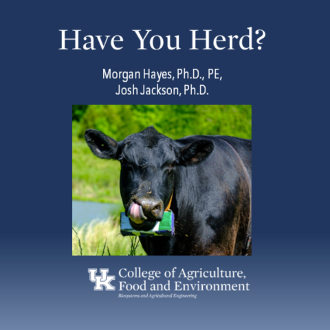 have you herd podcast